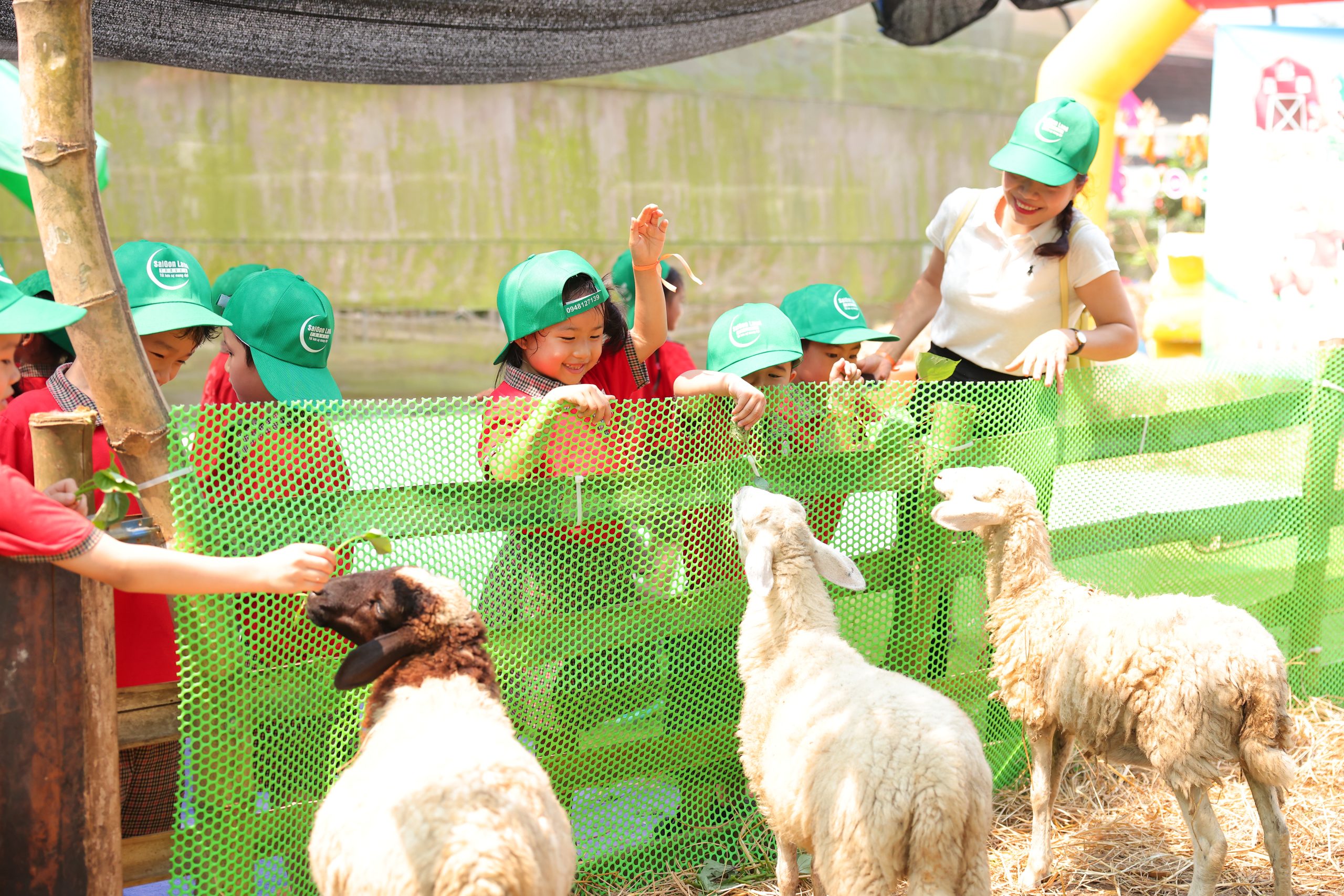 CHUYẾN THAM QUAN TRẢI NGHIỆM TRANG TRẠI VUI VẺ - HAPPY FARM